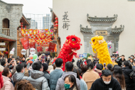 蕪湖古城：民俗燈會(huì)迎虎年