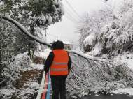 旌德：路面積雪樹木倒伏 交通部門清晨開始清理