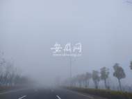 部分路段能見度不足50米 旌德縣發布大霧紅色預警
