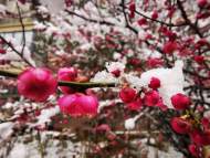 錢(qián)永廣：過(guò)年算舊賬