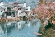 陳聰：人生需要一種大希望——讀李鳳群長(zhǎng)篇小說(shuō)《大望》札記