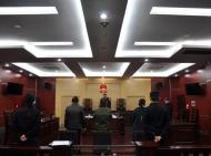 銅陵銅官區法院公開宣判一起串通投標罪案件
