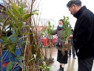 壽縣：村民集市選購早春綠植  美化鄉村生態