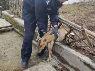 迷路野生黃麂闖進(jìn)派出所 歙縣民警將它送回“家”