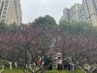 陳玲玲:花事之約