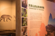 新春走基层|虎年新春 天柱山地质博物馆里年味浓