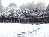 淮南迎来虎年第一场雪 公园雪景美如画