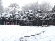 淮南迎來虎年第一場雪 公園雪景美如畫