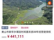 黃山兩處閑置農房20年經營使用權均流拍 因出價未超保留價