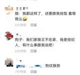 武汉一动物园狼园出现大黄狗？回应：狼王战败被排斥用狗陪伴