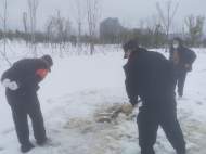 安慶：民警雪地翻找7小時 尋回市民3萬元鉆戒