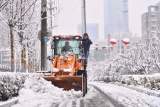 组图 | 合肥银装素裹 街头除雪忙