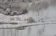 合肥骨科醫生提醒：雪后老人外出需穿防滑鞋