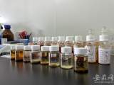 鈴鐺、烏龜殼、鞋墊……巢湖中的水生生物竟然長這樣