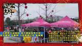 合肥野生動物園春節期間免費開放