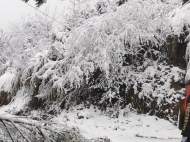 早間天氣預報！合肥南部大雪 局部暴雪