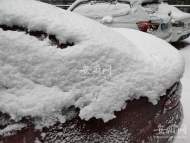 合肥大蜀山森林公園因雨雪閉園