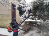 合肥高新区组建应急抢险队为国家三级古树除雪