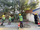合肥试点“小区绿化养护培训” 整治私自砍树过度修剪等行为