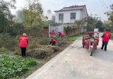 肥西縣豐樂鎮(zhèn)：久久為功  持續(xù)提升農村人居環(huán)境