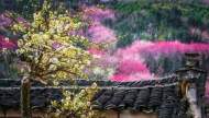 江紅波：教書三十年