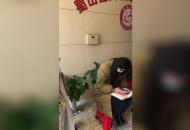 合肥民政部門迎來婚姻登記小高峰