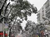 宣城市发布低温雨雪冰冻灾害Ⅲ级预警