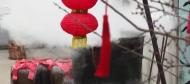 李愈蕓：釀米酒