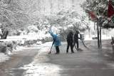 淮南：龙湖公园除雪忙