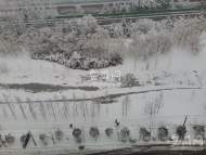 安徽省氣象局啟動暴雪Ⅲ級應急響應