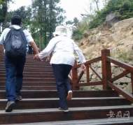 子欲養(yǎng)而親不待