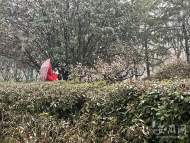 未來兩天，安徽中南部雨雪天氣持續