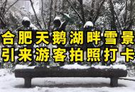 直擊安徽虎年大雪｜合肥天鵝湖畔雪景 引來游客拍照打卡