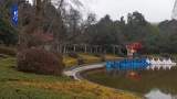 蕪湖赭山公園梅花怒放