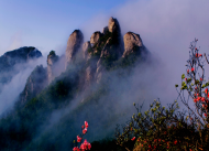 安徽開展未經(jīng)許可經(jīng)營旅行社業(yè)務(wù)、“不合理低價游”專項(xiàng)整治