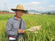 榜樣｜廣德縣農科所副所長吳險峰：專耕水稻培育30年 汗水澆灌出良種好稻