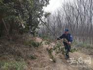春風十里 添綠有你丨護林員程忠：14239畝山林都在心中