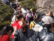 天柱山“三八婦女節(jié)”對(duì)全國女性免門票
