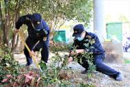 合肥市亳州路街道：2000棵樹苗將空地裝扮成“小森林”