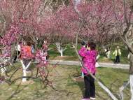 天氣晴好已入春？關(guān)于安徽入春那些事兒 請(qǐng)聽氣象專家細(xì)細(xì)道來