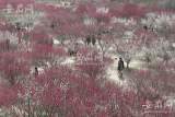 北方晴朗升温多地冲击30℃ 华南回温乏力气温持续偏低