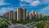 合肥市大圩镇：“葡萄架”下的幸福生活