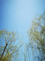 王溪竹：心里住著一個(gè)春天