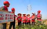 植树正当时！电力部门提醒：勿忘“线树和谐”
