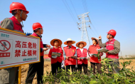 植樹正當時！電力部門提醒：勿忘“線樹和諧”