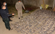 現場查獲1100余只！三人非法收購出售陸生野生動物被太和警方抓獲