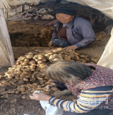 荆山镇：镇村干部积极为脱贫户销售农产品