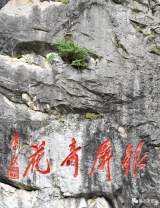 花開幾朵？巢湖銀屏山千年牡丹含苞待放