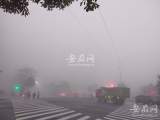 局地能见度小于50米！宣城市发布大雾红色预警