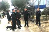 六安：蟊贼大白天偷狗还骑走他人电动车 民警将其抓获
